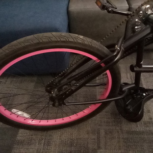 Skullxbones Beach Cruiser Black