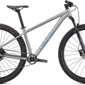 2021 Specialized Rockhopper Expert 29 Silver, gray or bare metal