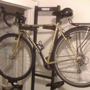 2008 Bianchi Volpe Yellow or Gold