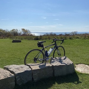 2010 Trek 2.1 Silver, gray or bare metal and White