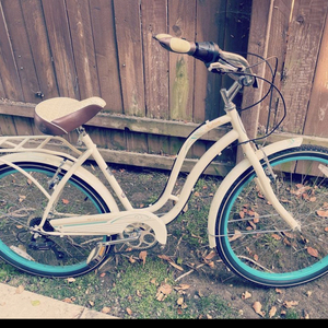 Schwinn White and Blue