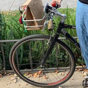 2010 Bianchi Iseo Black