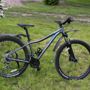 2020 Cannondale Tango 4, 27.5" Blue
