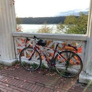 2013 Trek Lexa SLX (Compact) Red