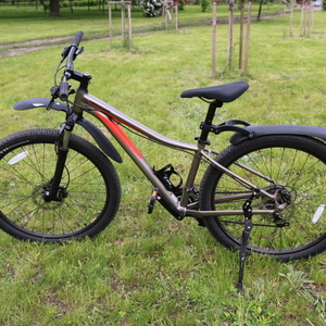 2020 Cannondale Tango 5