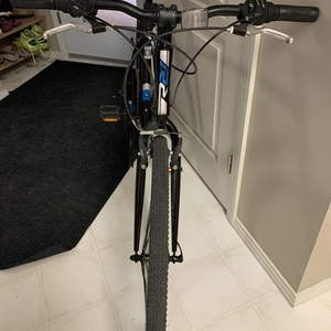 2017 Raleigh cadent Black
