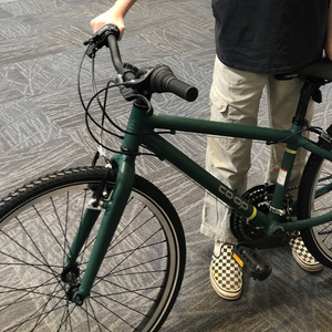 2020 REI 24 Inch REV City Kids Green