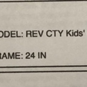 2020 REI 24 Inch REV City Kids Green