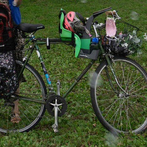 1970 Raleigh Green