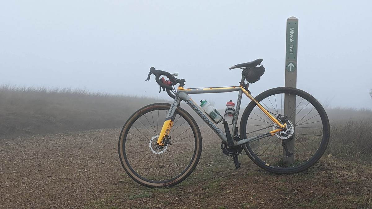 cannondale superx rival