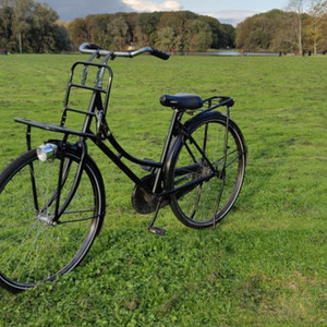 No brand Transportsfiets Black