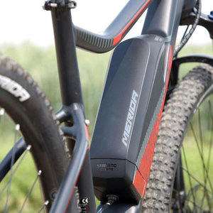 2016 Shimano Big seven elite 300 Black and Red