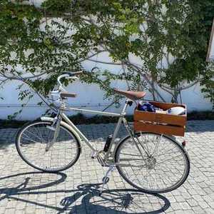 2020 Linus Roadster Sport 3 Speed Green
