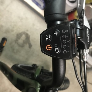 2020 Rad Power Bikes Rad Runner 1 Green