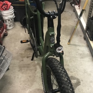 2020 Rad Power Bikes Rad Runner 1 Green