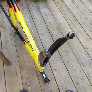 Apollo Olympus Yellow or Gold