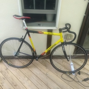 Apollo Olympus Yellow or Gold