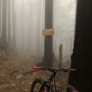 2019 Rocky Mountain Bicycles Altitude Black and Red