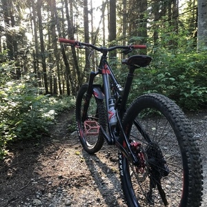 2019 Rocky Mountain Bicycles Altitude Black and Red