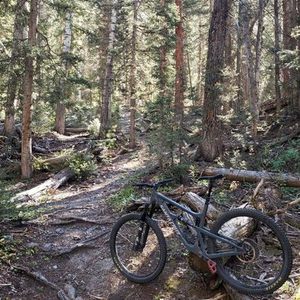 2018 Santa Cruz Hightower LT C Silver, gray or bare metal