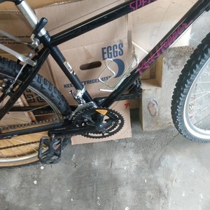 Specialized Rockhopper Black