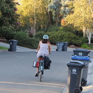 2015 Trek 7.3 FX Blue