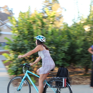 2015 Trek 7.3 FX Blue