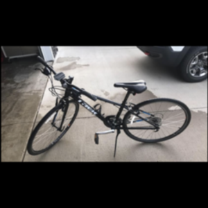 Trek Fx Black
