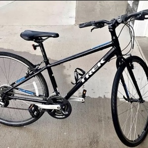 Trek Fx Black