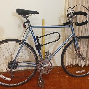 1981 Lotus Classique Blue