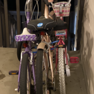 2018 Kent 72653 Pink and Yellow or Gold