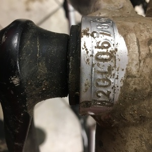 Specialized Stumpjumper Comp Silver, gray or bare metal