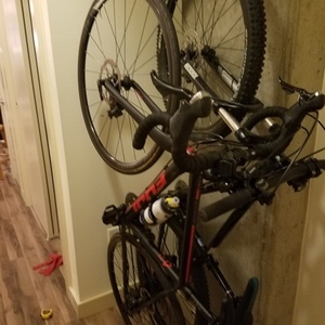 2018 Fuji Sportif Black