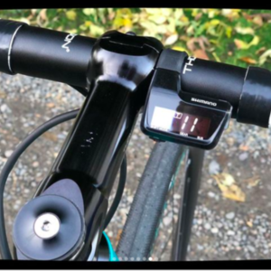 2017 Flanders Forte Teal