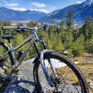 2018 Chromag Rootdown Silver, gray or bare metal