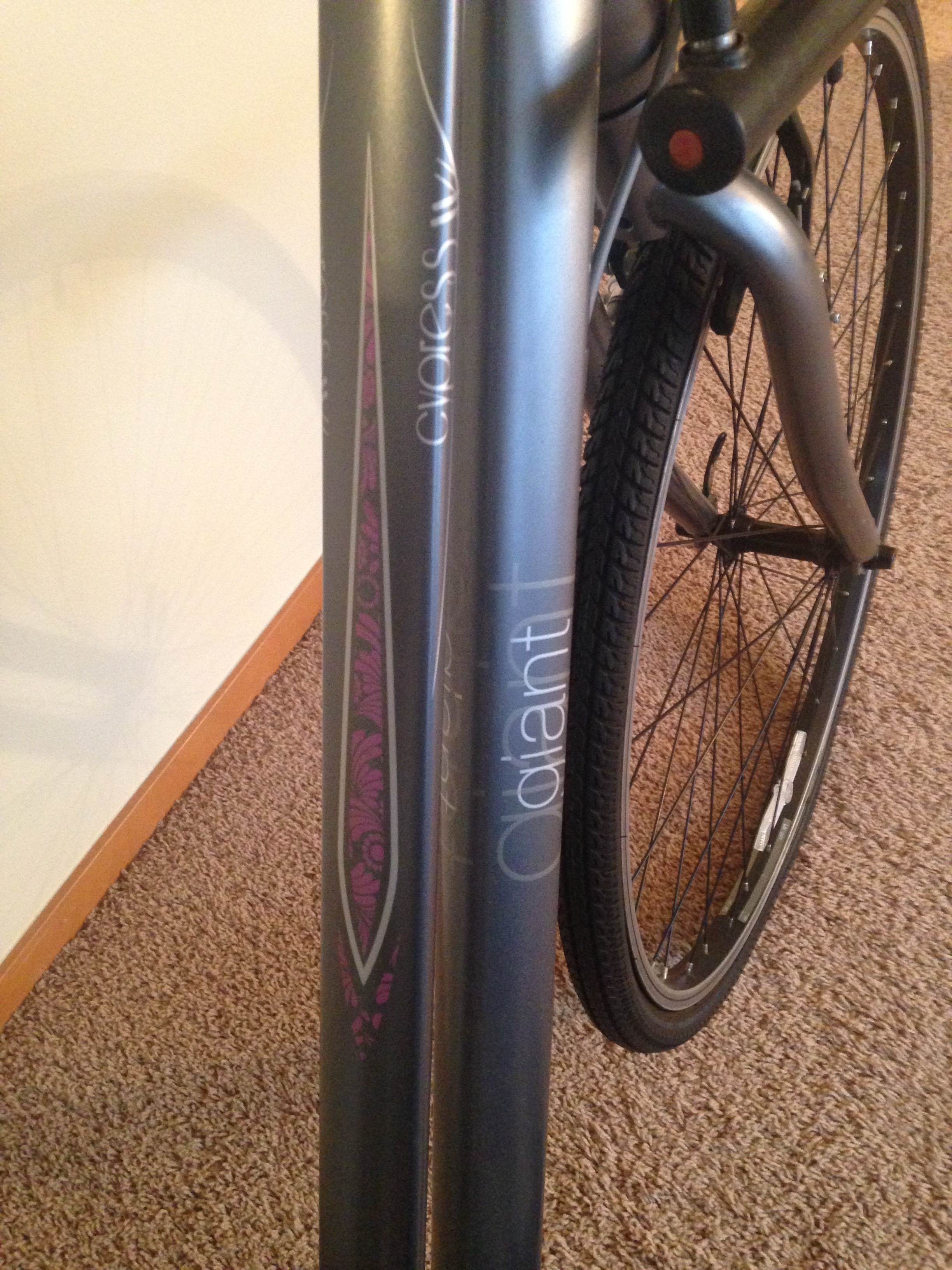 giant liv cypress dx w