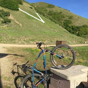 2016 Giant Talon Blue and Orange