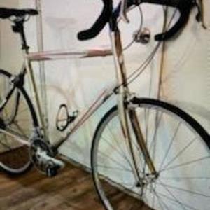 2006 Specialized Roubaix Yellow or Gold