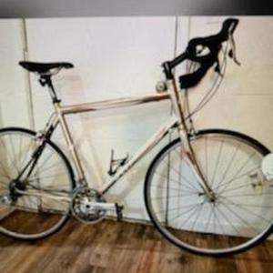 2006 Specialized Roubaix Yellow or Gold