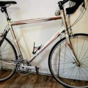 2006 Specialized Roubaix Yellow or Gold