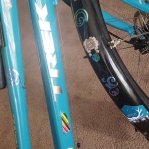 Trek Verve 2 Teal