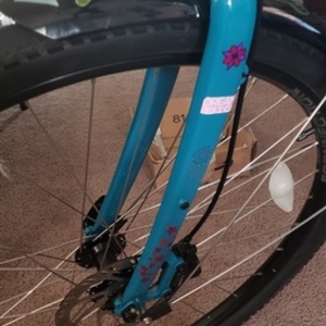 Trek Verve 2 Teal
