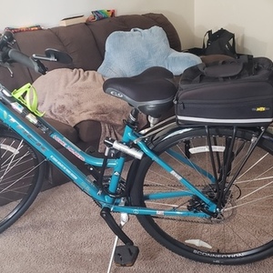Trek Verve 2 Teal