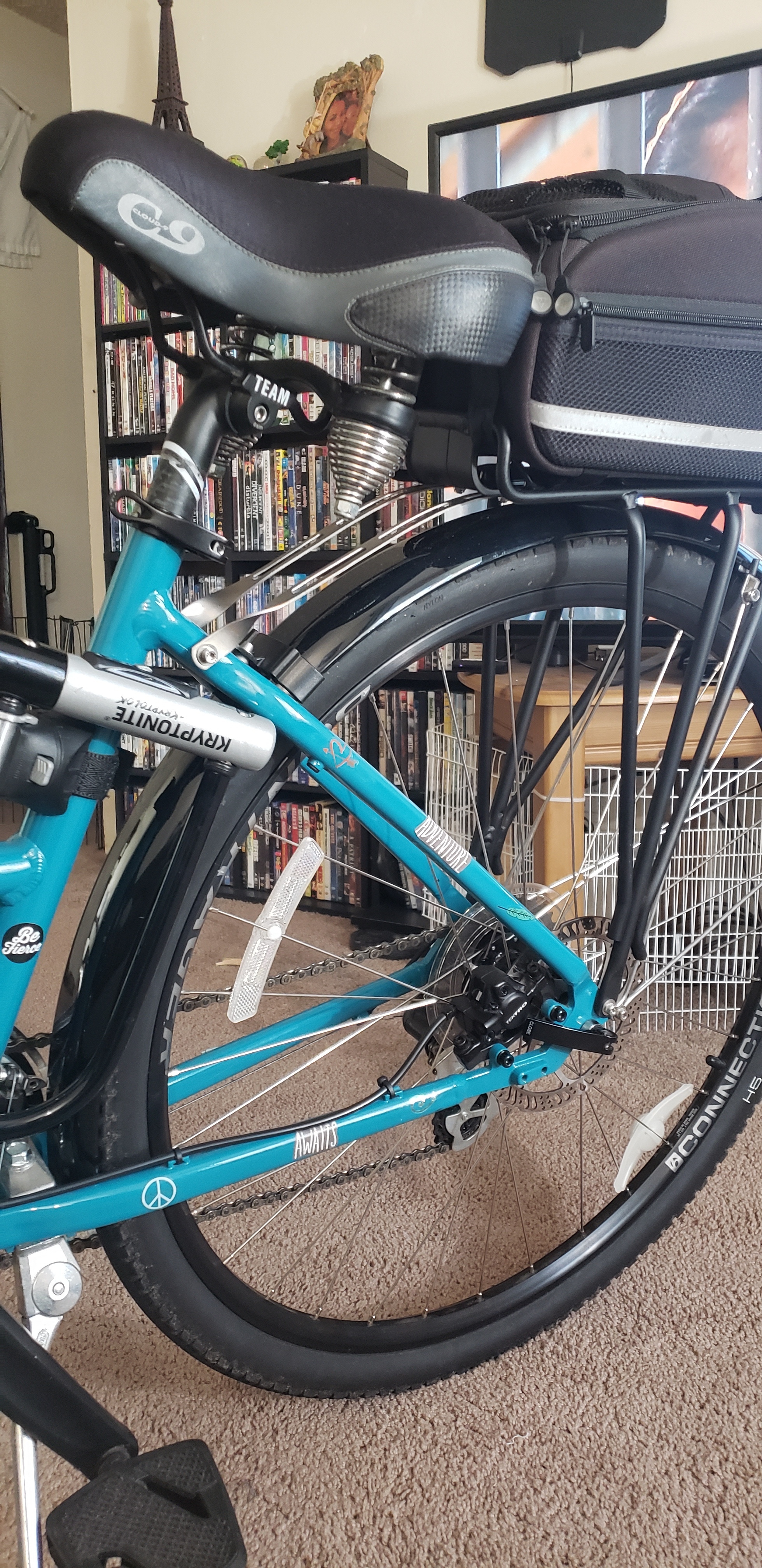Stolen Trek Verve 2