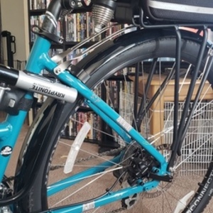 Trek Verve 2 Teal