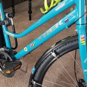 Trek Verve 2 Teal
