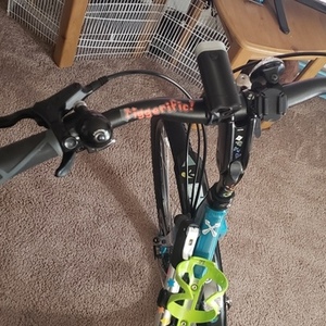 Trek Verve 2 Teal