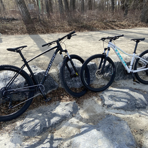 2020 Specialized Rockhopper Black