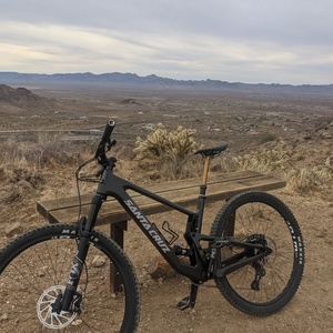 2020 Santa Cruz Tallboy C Brown