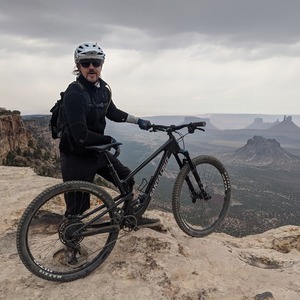 2020 Santa Cruz Tallboy C Brown